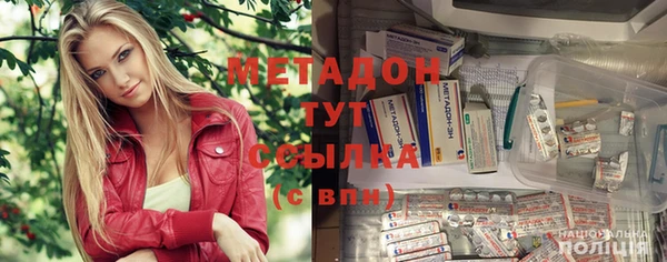 гашик Алексин
