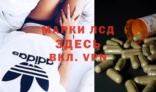гашик Алексин