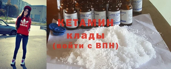 гашик Алексин