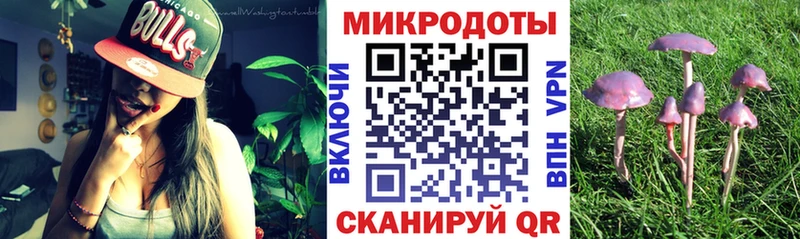 купить закладку  Инта  Галлюциногенные грибы GOLDEN TEACHER 
